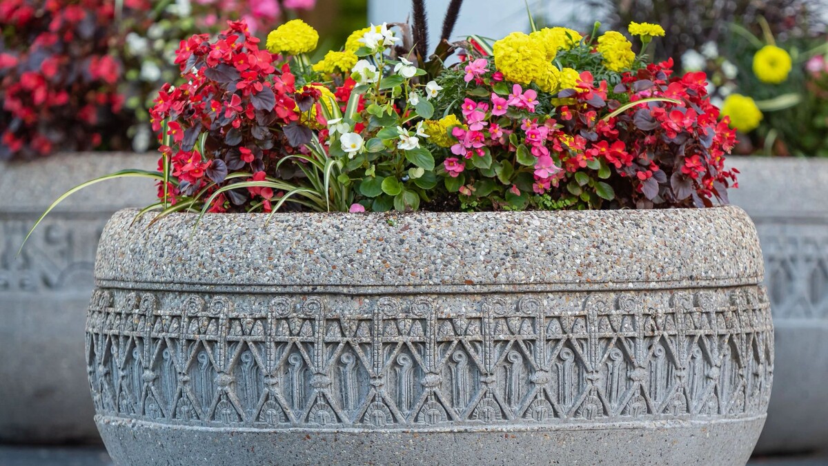    Фото: Elena_Alex_Ferns/Shutterstock/Fotodom