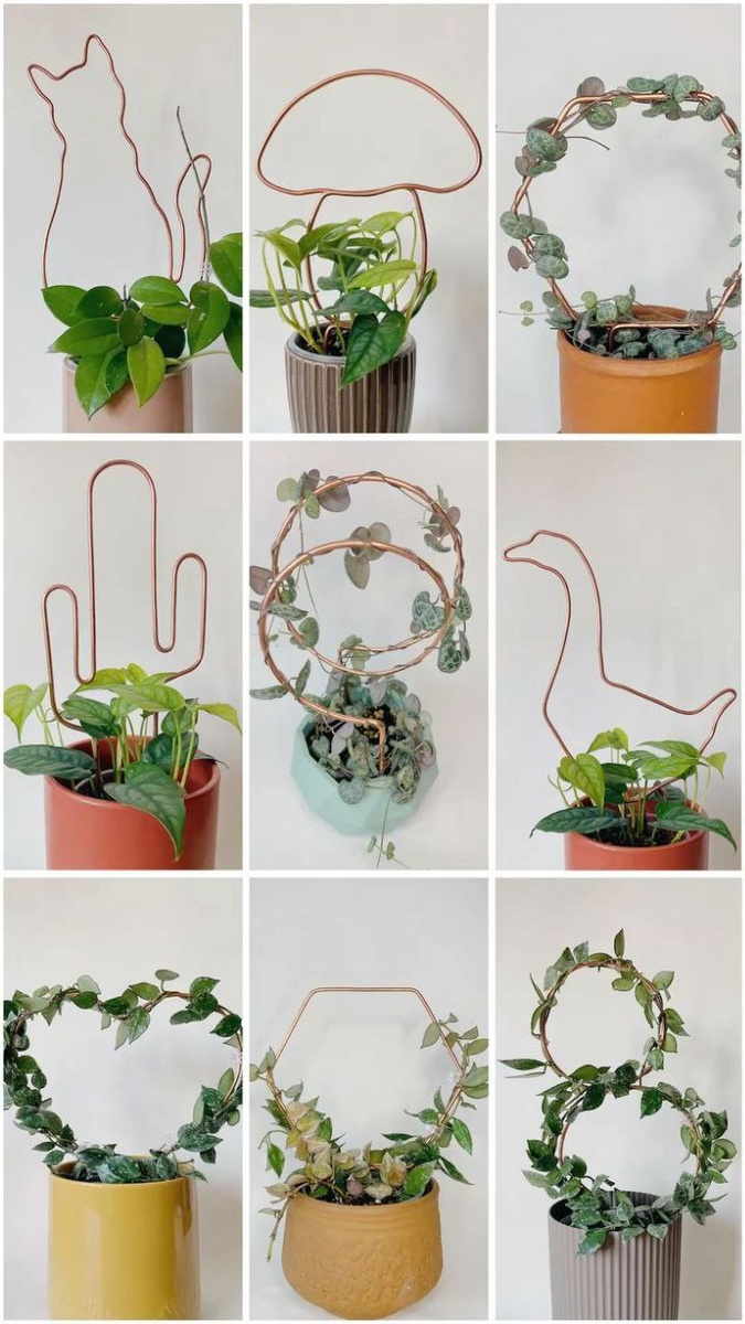 Пример простой металлической опоры для мелколистных растений