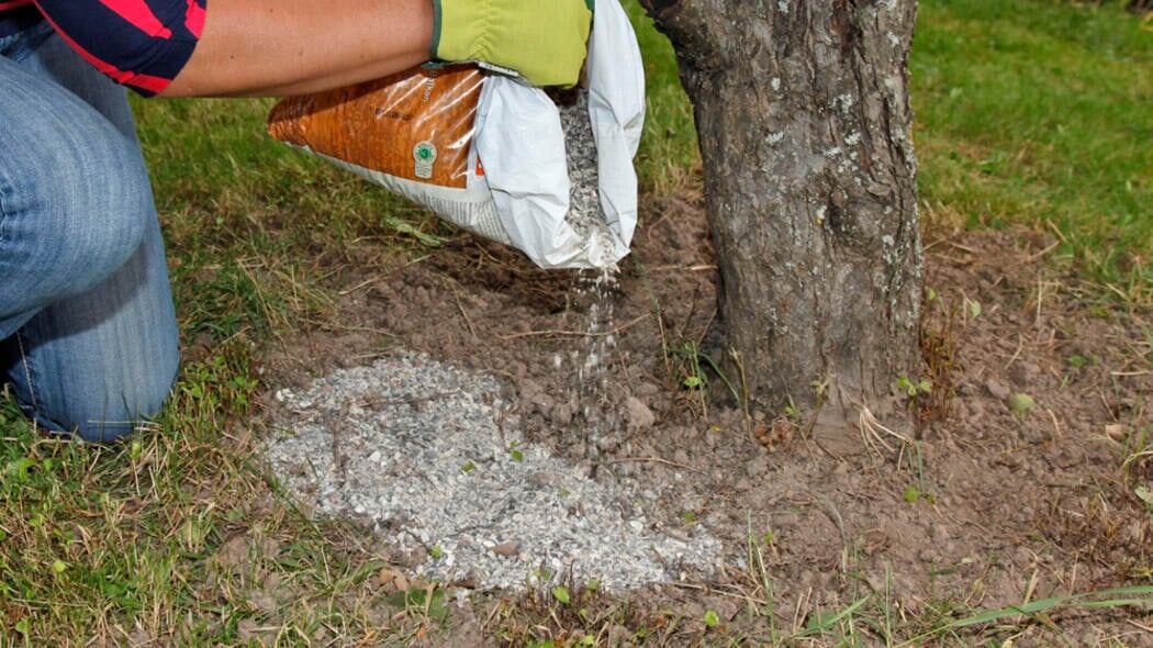 Минералы для груши