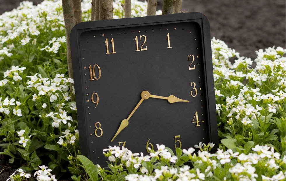 Фото с сайта: freepik.com 