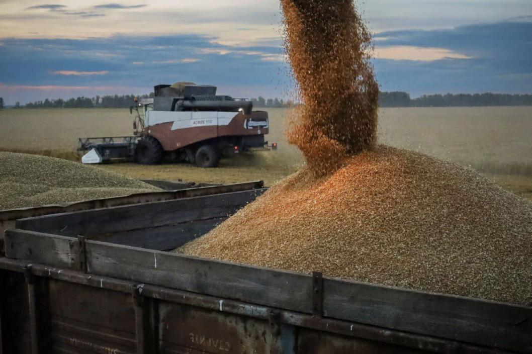 Фото: Telegram-канал Александра Моора