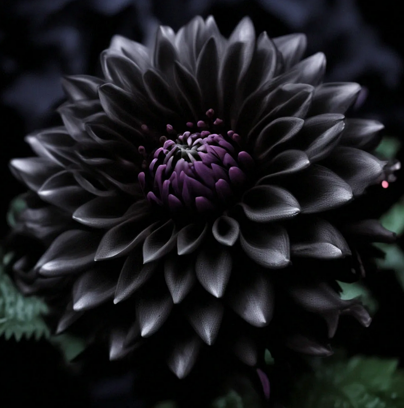 Из интернета.