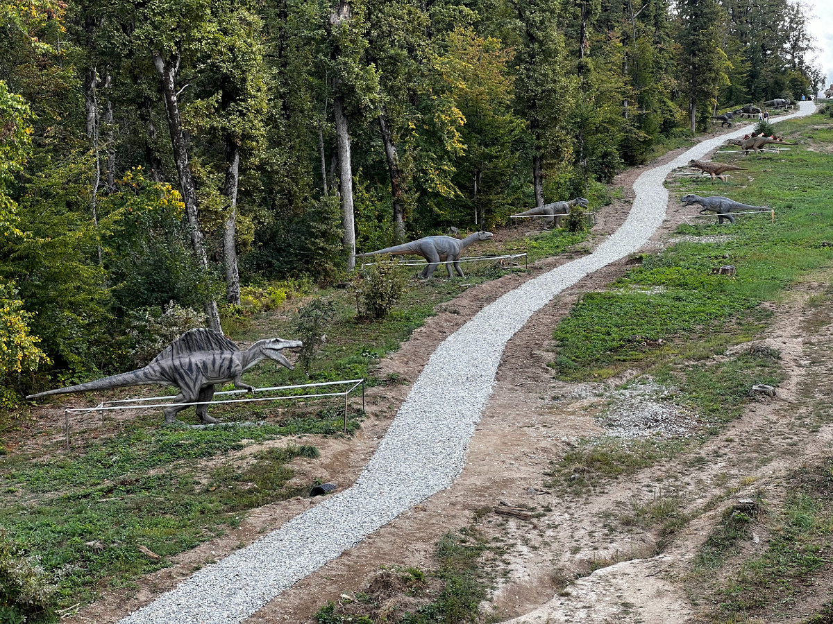 Тропинка динозавров