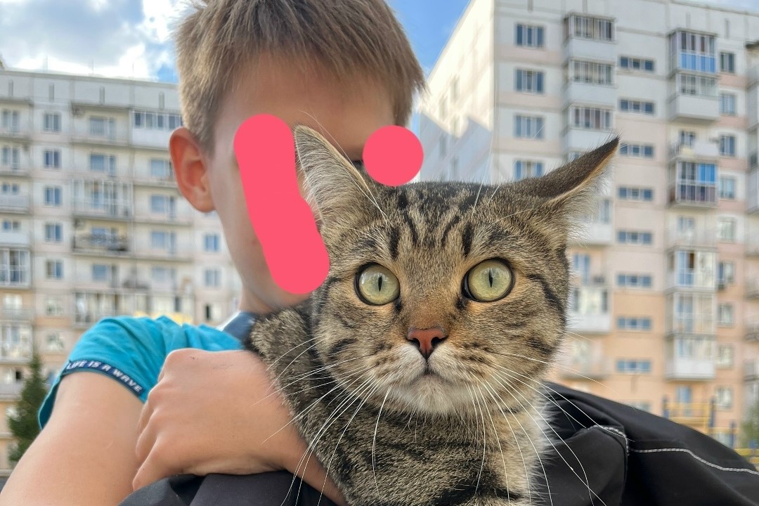    Фото: МЖК. Восточный. Плющихинский \ ВКонтакте