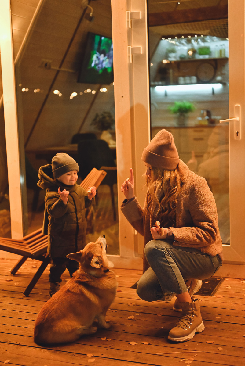 Отдых с питомцем в Подмосковье эко отель