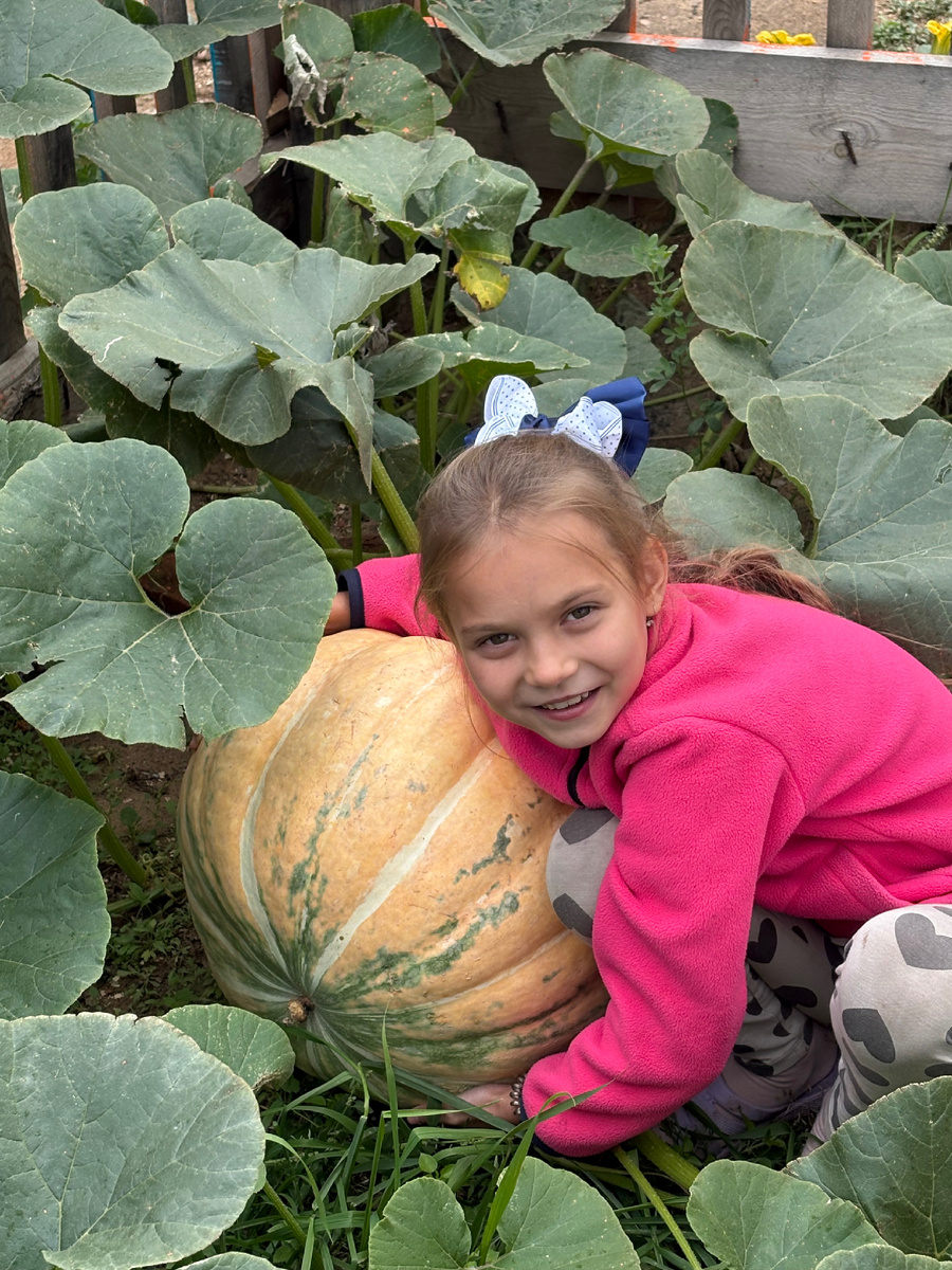 Фото сделано для конкурса