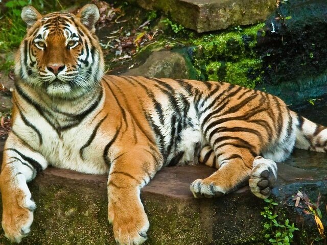    Фото: depositphotos/Jearud