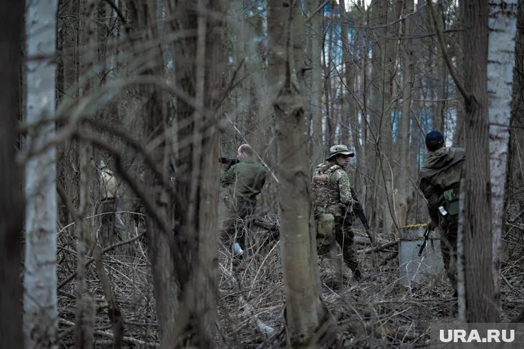ВС РФ освободили лесополосу у Купянска. Фото: Руслан Яроцкий © URA.RU