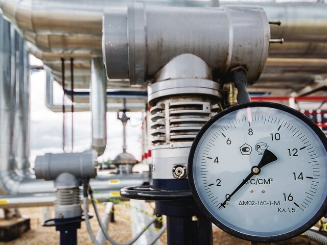    Фото: 123RF/photollurg