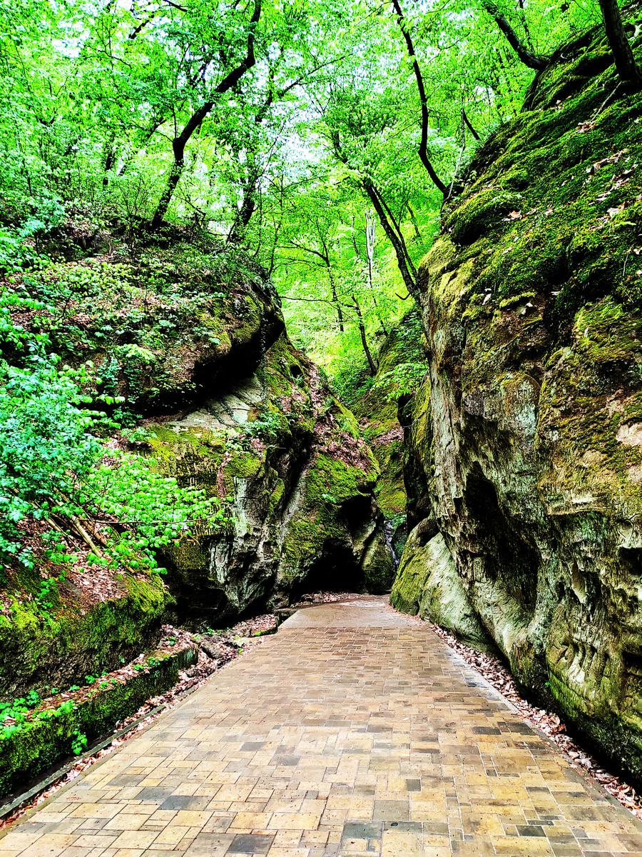 Вход в Дантово ущелье. Горячий Ключ. Фото автора