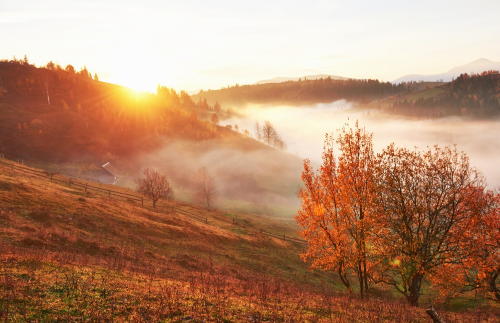 Фото: freepik / standret