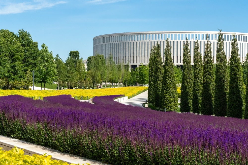 Фото: Elena Bukiya / Shutterstock.com