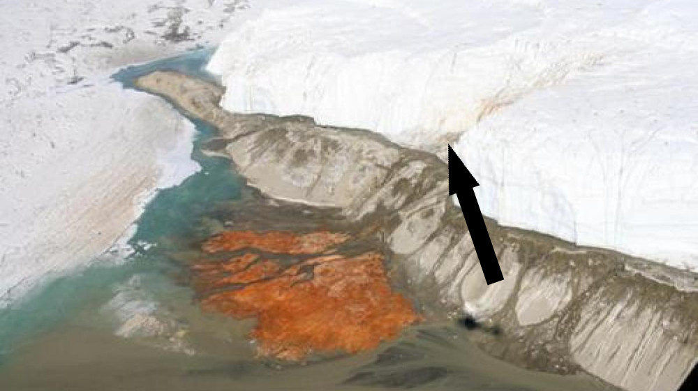    Кровавый снег Антарктиды угрожает миру никто не хочет слушать