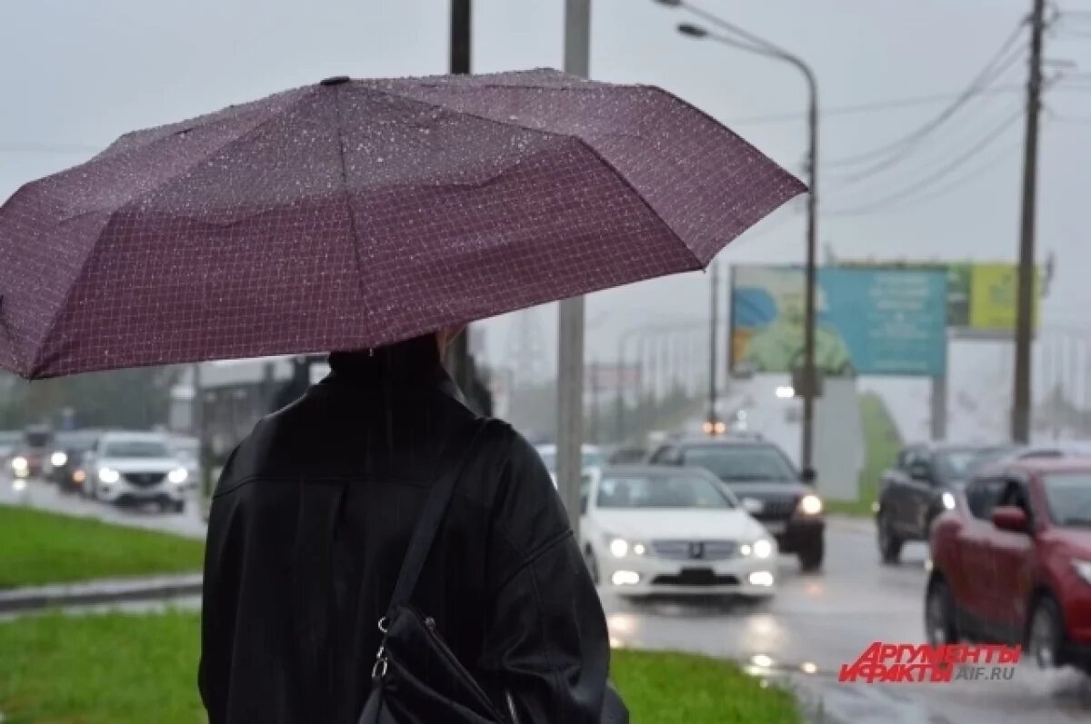    Ветреная и дождливая погода придёт в Удмуртию на предстоящих выходных