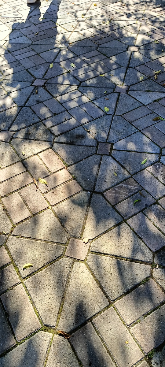 Из личного архива