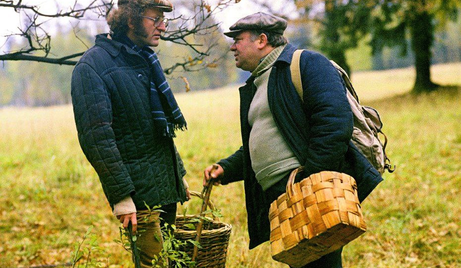 Особенности национальной «тихой охоты»: как сбор грибов стал русским традиционным видом спорта