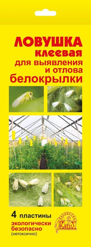  Клеевая ловушка