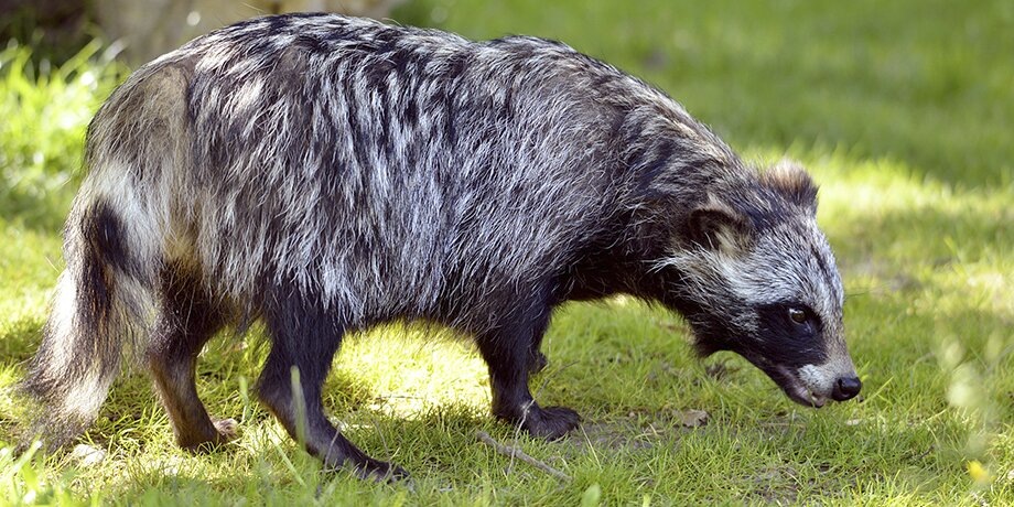    Фото: 123RF/musat