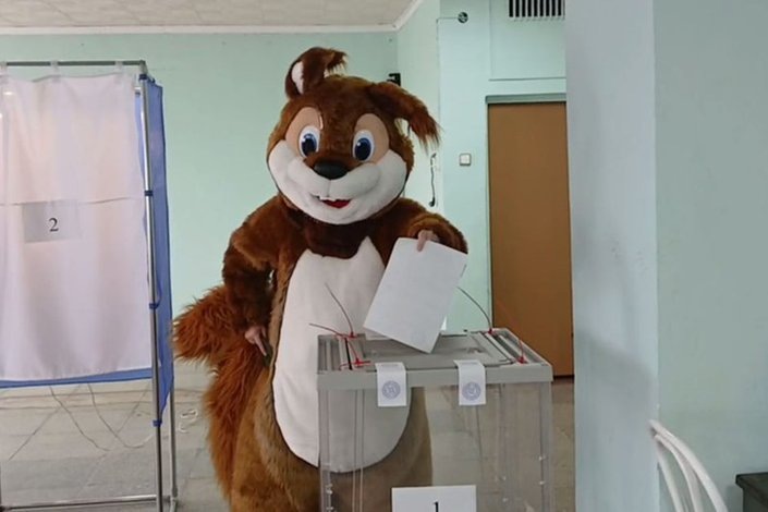    Белка проголосовала на выборах губернатора. Скриншот видео центра общественного наблюдения за выборами