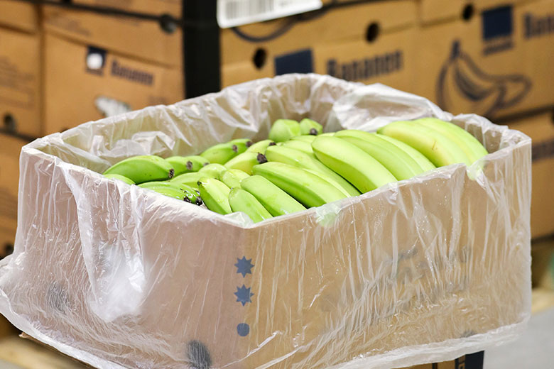    Jan Woitas/Global Look Press