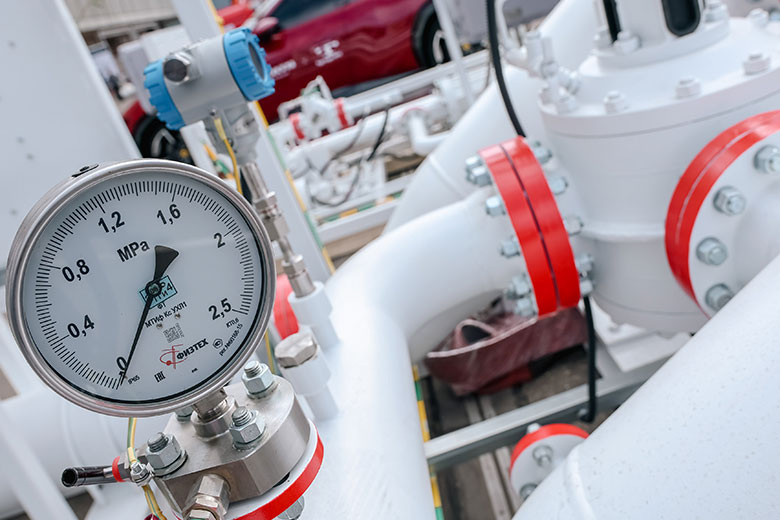    Roman Naumov/Global Look Press