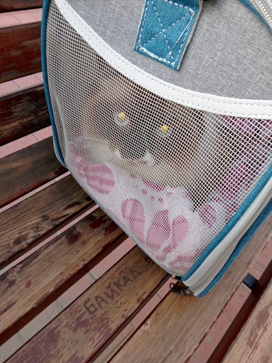 Еще в Томске пришел в себя