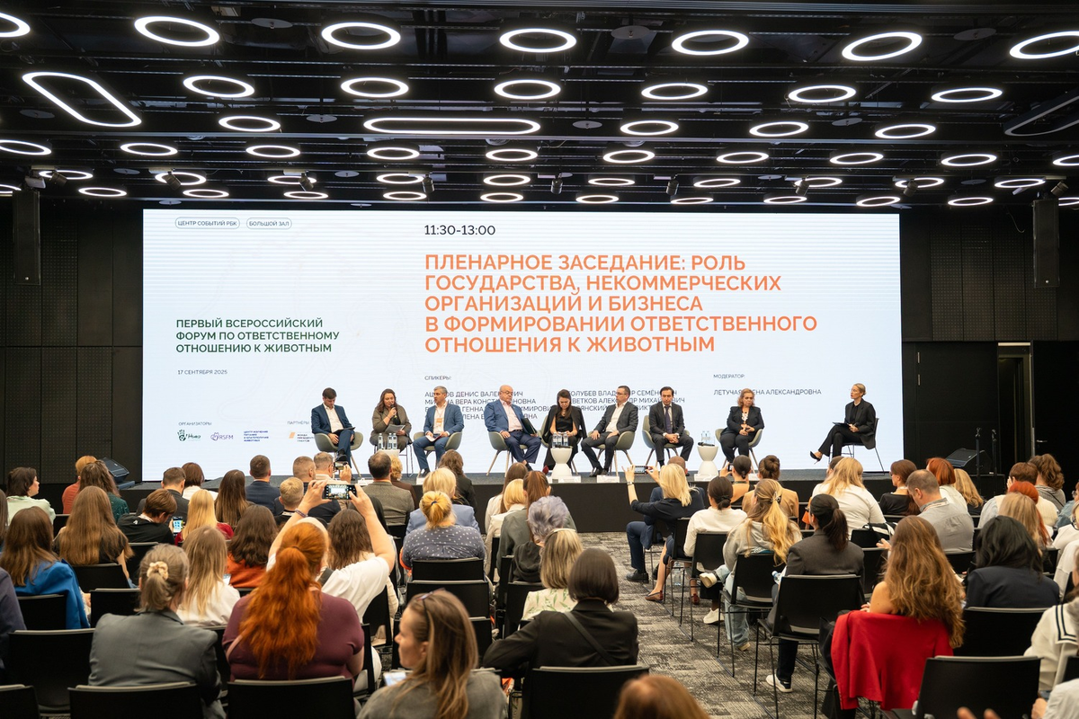 Фото: Александр Плонский / «ВиЖ»