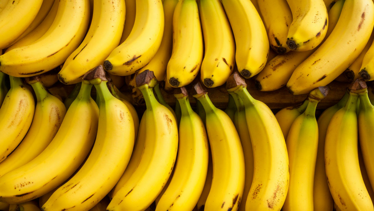 Фото: сгенерировано нейросетью «Шедеврум»