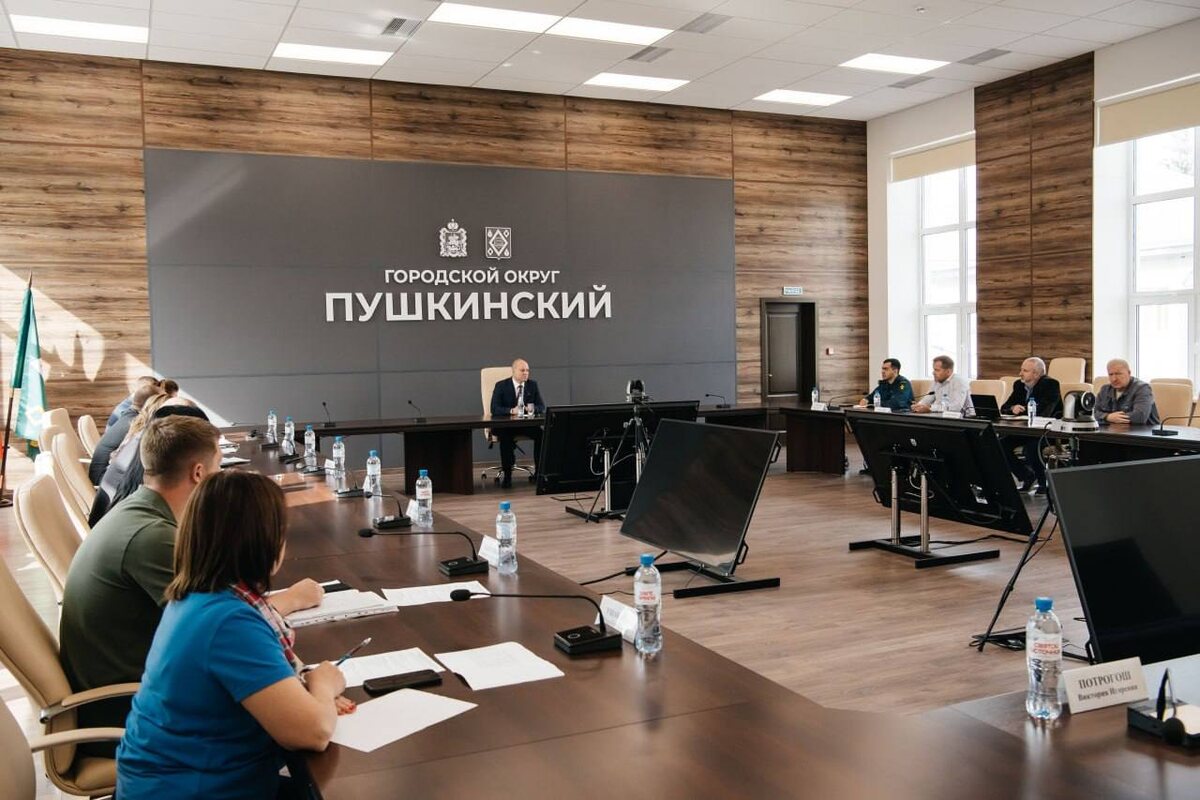    Фото: пресс-служба, источник: администрация Г.о. Пушкинский