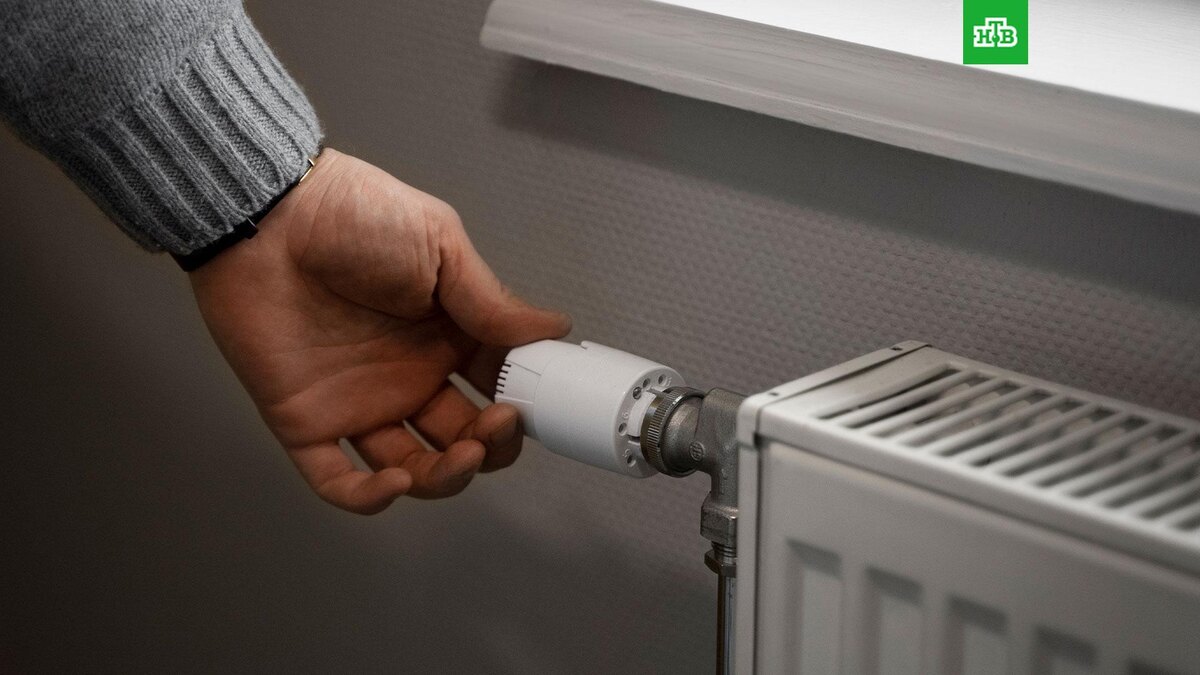    Фото: freepik / ru.freepik.com