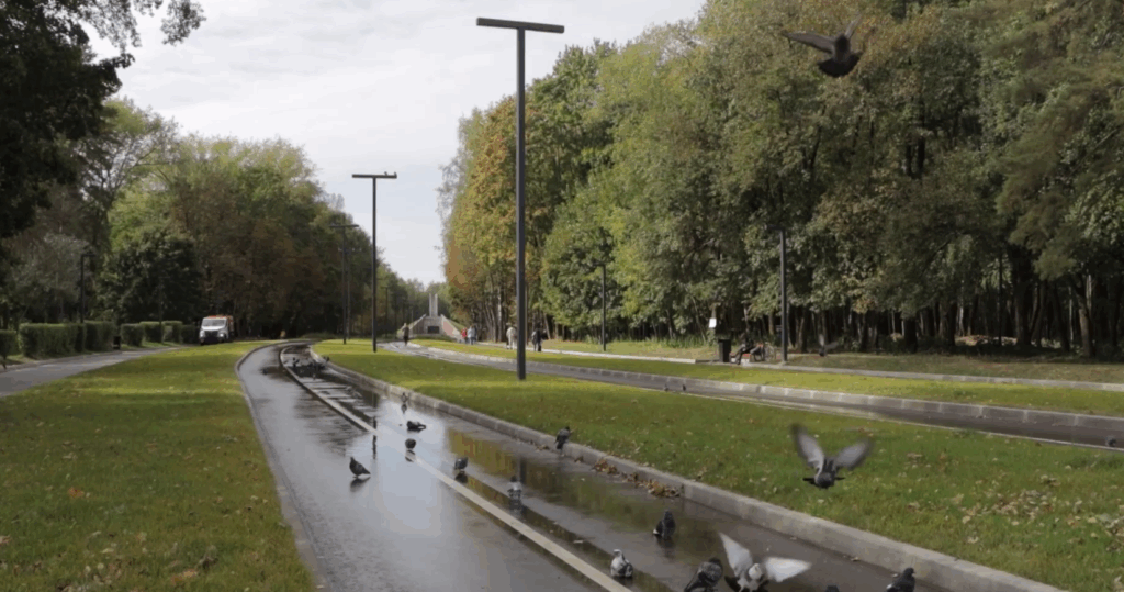    Фото: администрация города Смоленска Елена Воронцова