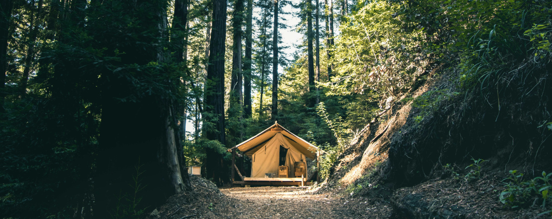 @Jeremy Bishop/Unsplash