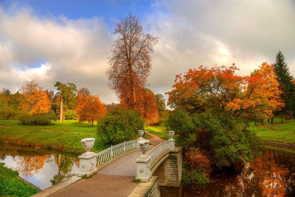 Золотая осень — лучшее время для прогулок. Фото: https://ru.pinterest.com/