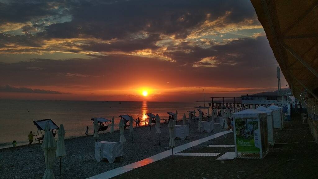    Анастасия Абрамова