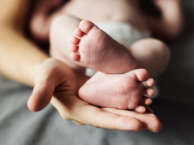    Фото: 123RF/adrinn15