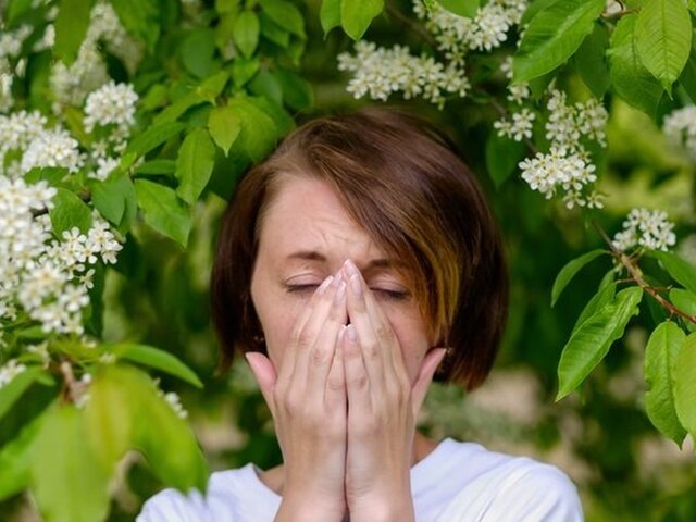    Фото: 123RF/Koldunov