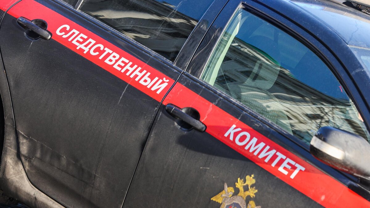    Фото: Belkin Alexey/globallookpress.com