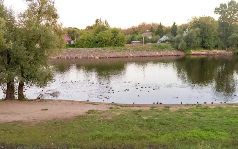     © РИА Новости. Маргарита Матвеенкова