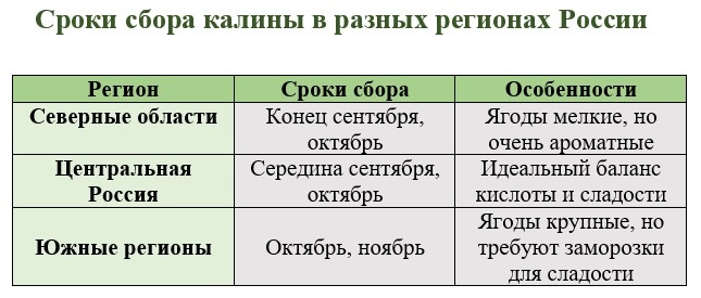 Для наглядности