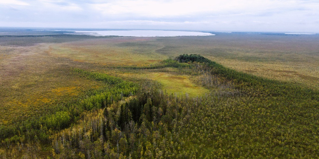 Эко-сафари на болотоходах-новый вид активного отдыха!