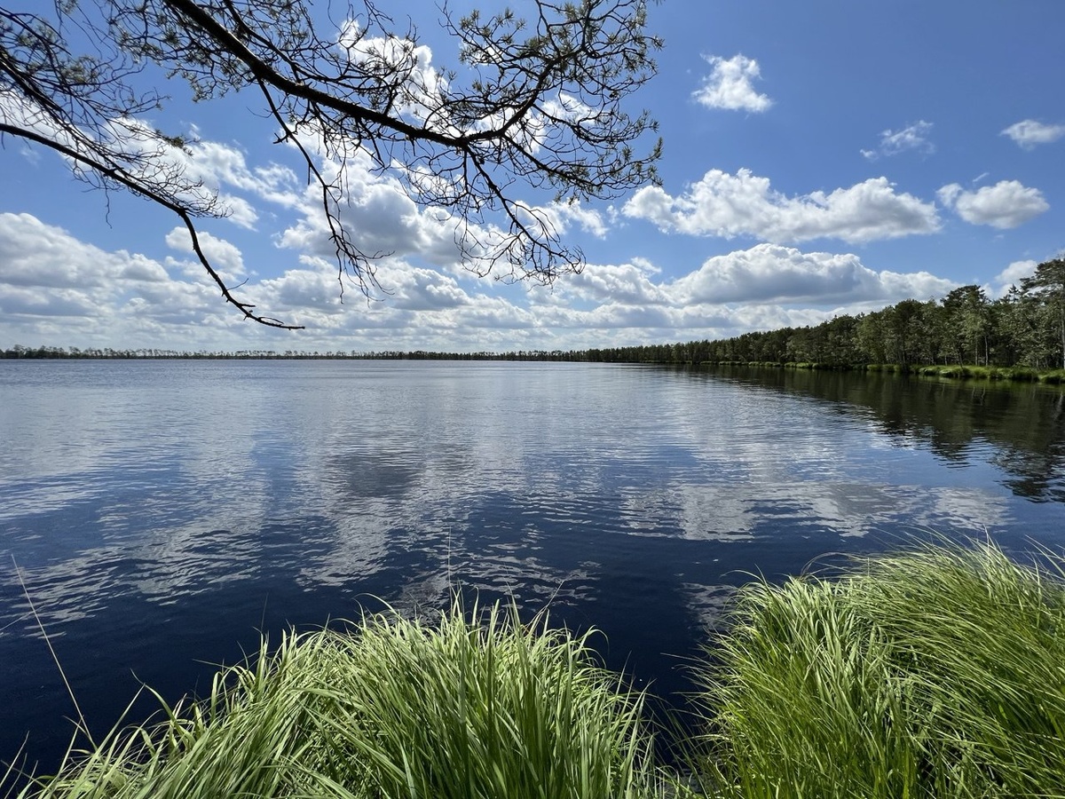 Живописные берега озера Сомово