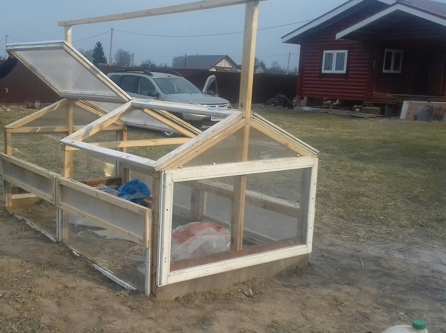    Вот что я вношу в тепличные грядки каждую осень, чтобы на следующий год собрать рекордный урожай - не ударит по карману