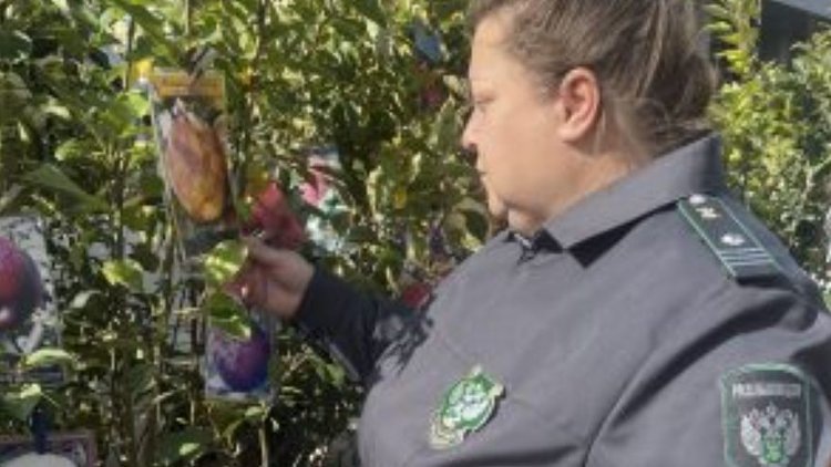    Фото: Управление Россельхознадзора по Владимирской, Костромской и Ивановской областям