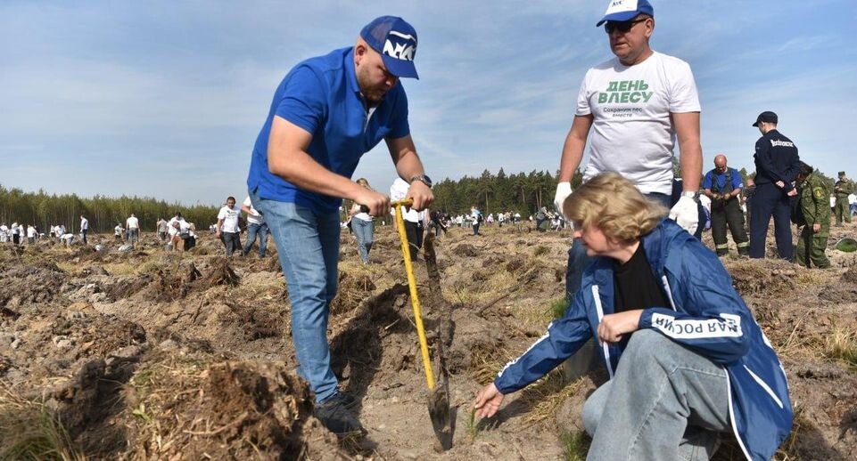    Комитет лесного хозяйства Московской области