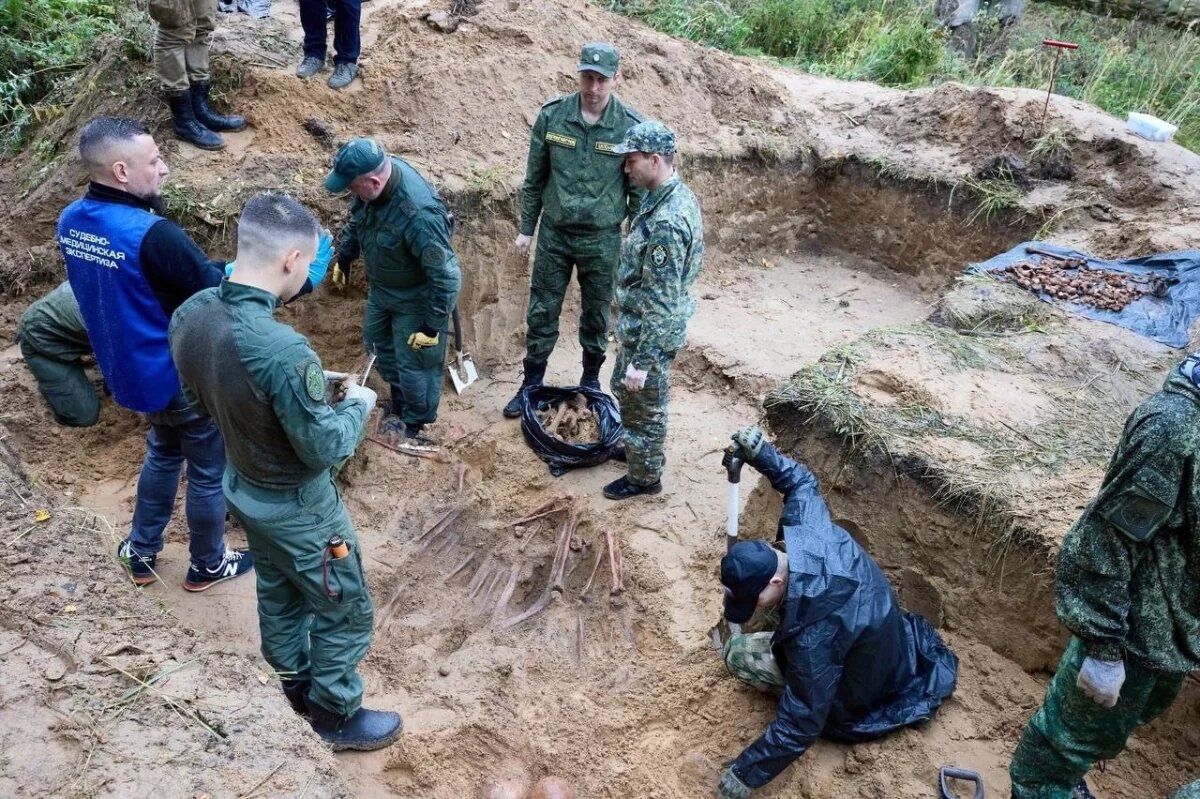    Массовое захоронение жертв нацистов нашли в Смоленской области