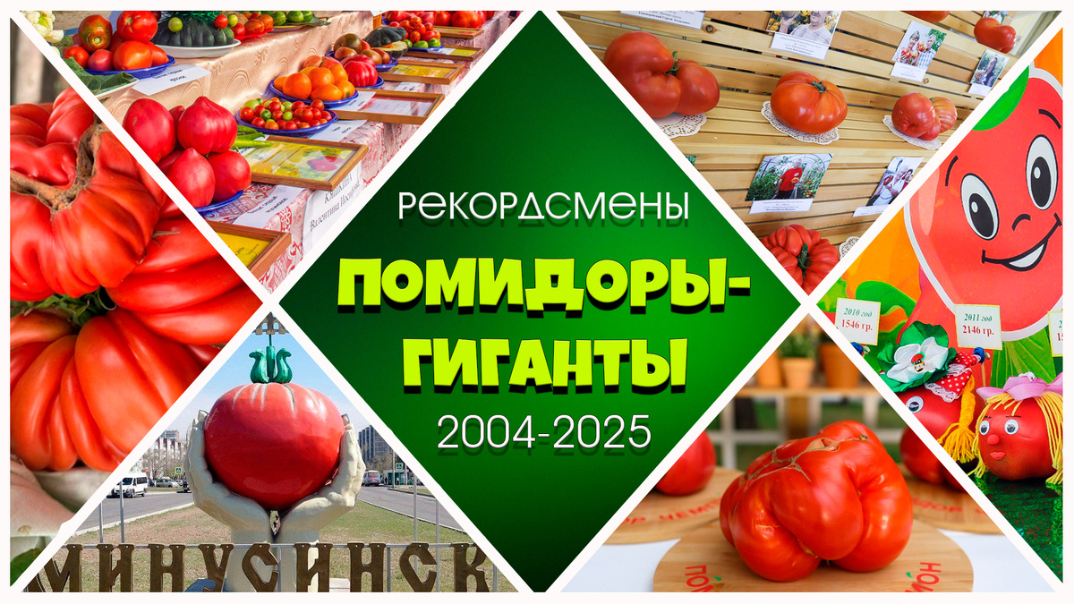 Помидоры-гиганты