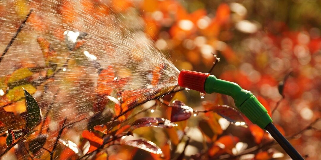 Баковая смесь от всех бед для осенней обработки сада