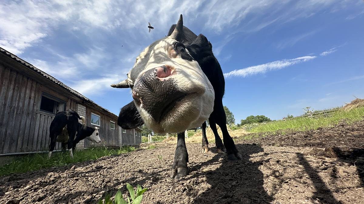    Фото: Вечерняя Москва