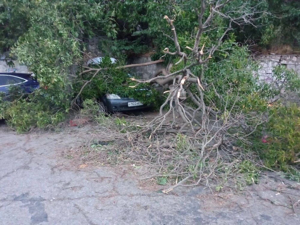    Шесть автомобилей в Ялте получили повреждения Фото: пресс-служба администрации Ялты/ Янина Павленко