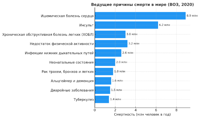 Комментарий к графику:
Недостаток физической активности — 4-я причина смертности в мире (3,2 млн человек ежегодно), но важно понимать: активность влияет не только на этот показатель. Регулярные нагрузки снижают риск ишемической болезни сердца и инсульта на 20–30%, уменьшают вероятность ХОБЛ-связанных осложнений, укрепляют иммунитет (↓ риск инфекций дыхательных путей на 20%), уменьшают риск диабета II типа и некоторых видов рака. То есть физическая активность напрямую и опосредованно влияет практически на все ведущие причины смерти. Движение — универсальный «лекарственный препарат», который работает сразу по нескольким фронтам.